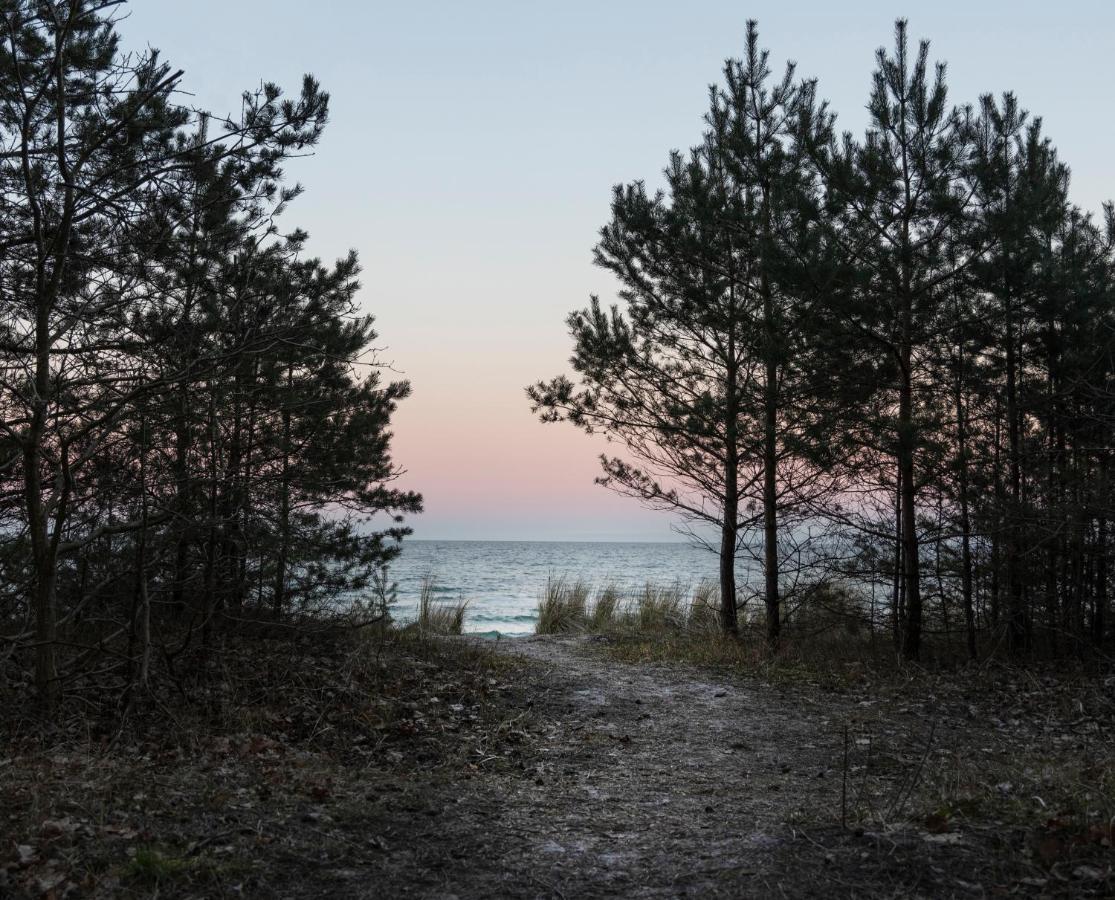 בינץ Safari Lodge Prora - Mit Sauna Und Direktem Strandzugang מראה חיצוני תמונה